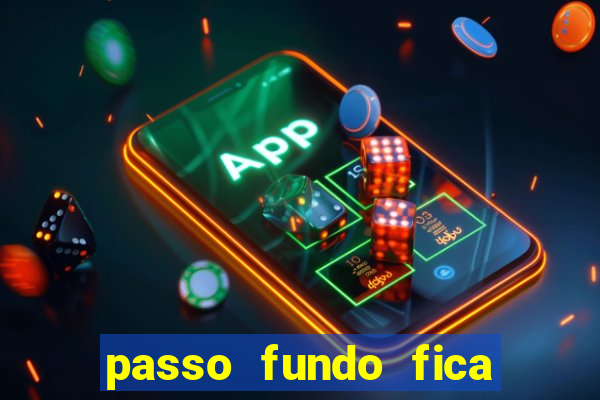 passo fundo fica perto de qual cidade